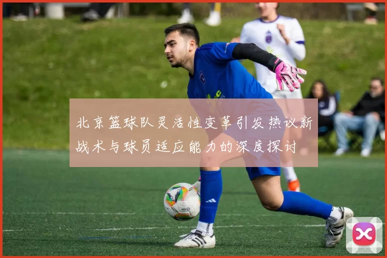 北京篮球队灵活性变革引发热议新战术与球员适应能力的深度探讨