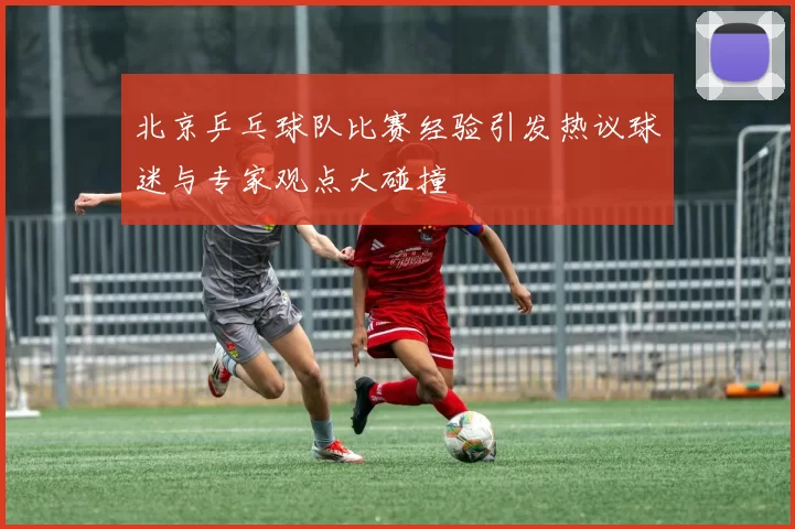 北京乒乓球队比赛经验引发热议球迷与专家观点大碰撞