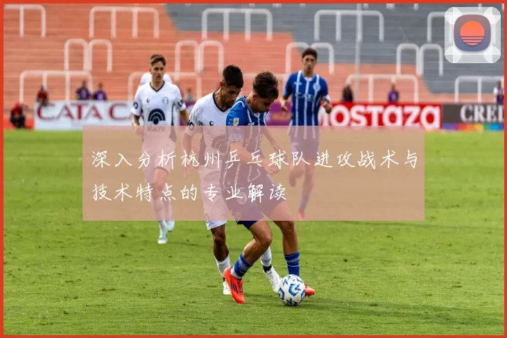 深入分析杭州乒乓球队进攻战术与技术特点的专业解读
