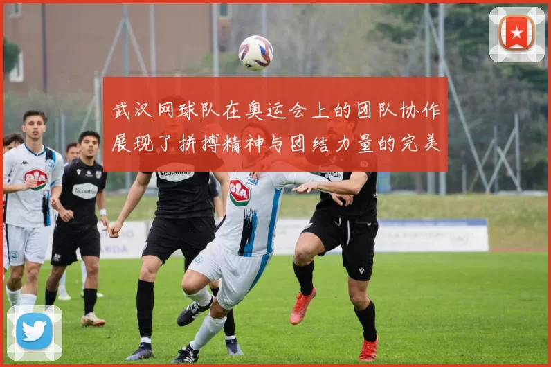 武汉网球队在奥运会上的团队协作展现了拼搏精神与团结力量的完美结合