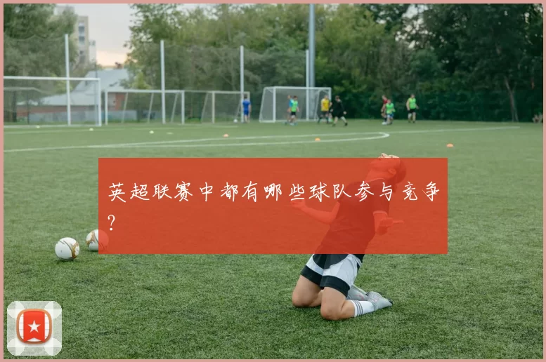 英超联赛中都有哪些球队参与竞争？