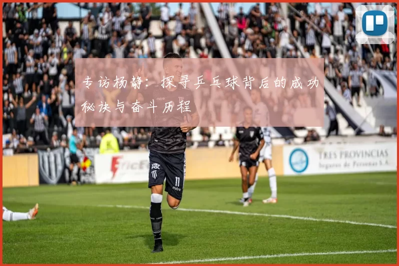 专访杨静：探寻乒乓球背后的成功秘诀与奋斗历程