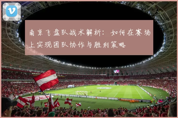 南京飞盘队战术解析：如何在赛场上实现团队协作与胜利策略