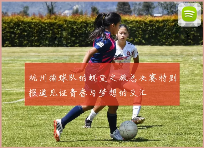 杭州排球队的蜕变之旅总决赛特别报道见证青春与梦想的交汇