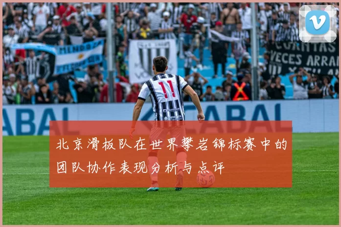 北京滑板队在世界攀岩锦标赛中的团队协作表现分析与点评
