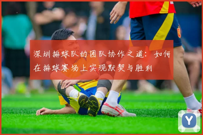 深圳排球队的团队协作之道：如何在排球赛场上实现默契与胜利