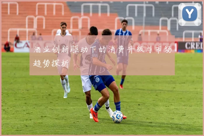 酒业创新驱动下的消费升级与市场趋势探析