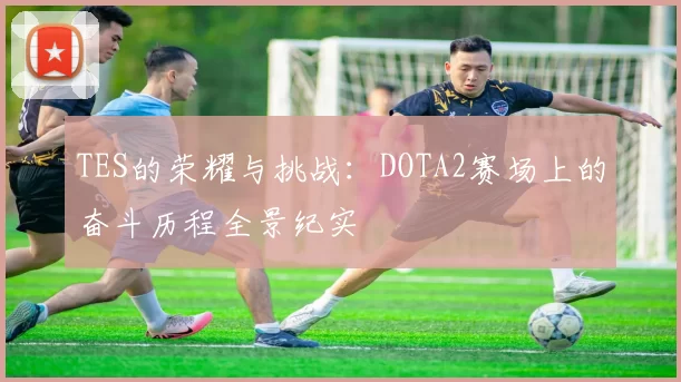 TES的荣耀与挑战：DOTA2赛场上的奋斗历程全景纪实