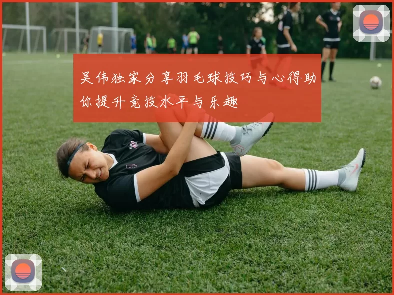 吴伟独家分享羽毛球技巧与心得助你提升竞技水平与乐趣