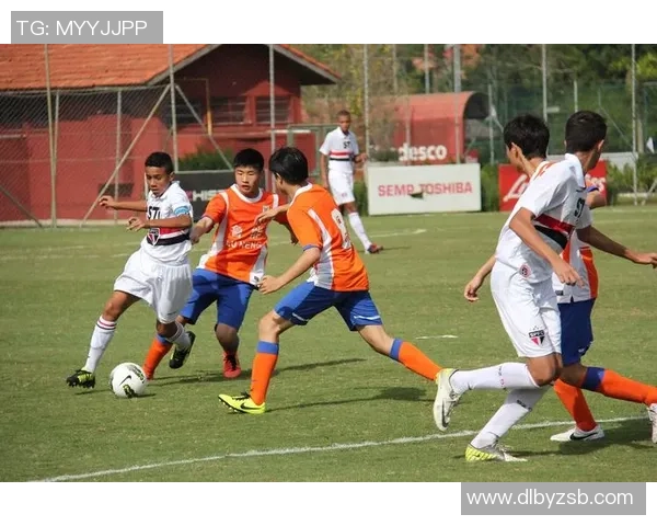 足球巨星亲身经历：从街头少年到世界顶级球员的奋斗与荣耀